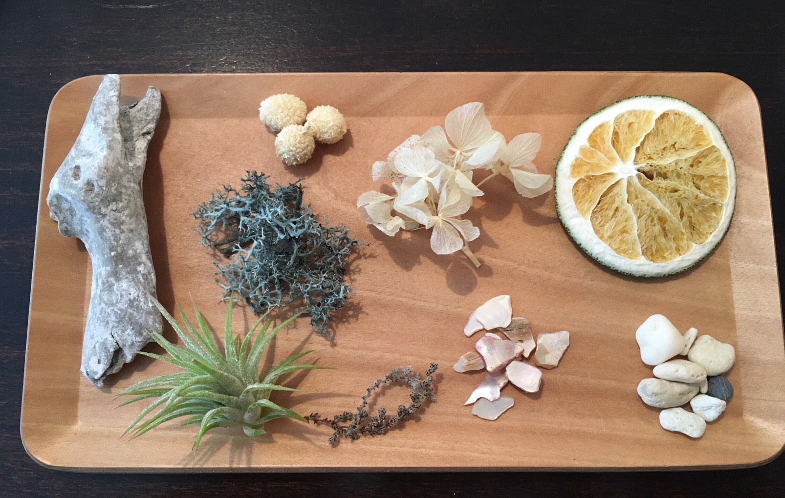 本日はLOHAS studio 定休日です。