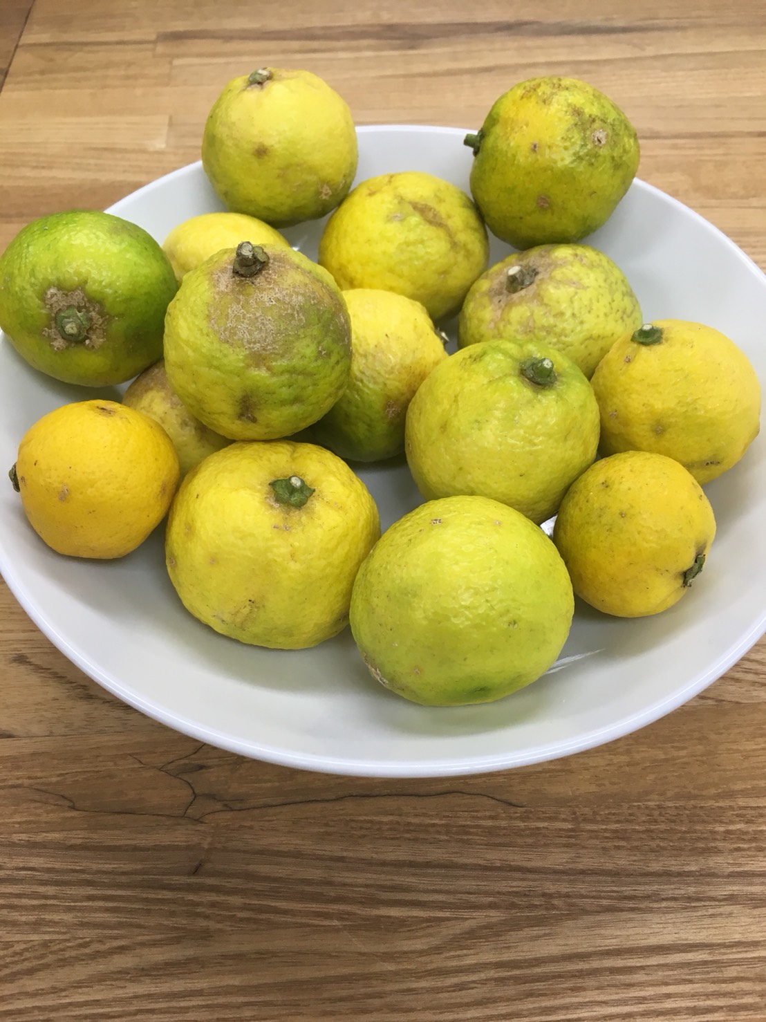 お客様からのいただきもの