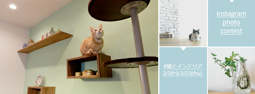 本日から開催！「#猫とインテリア」フォトコンテスト