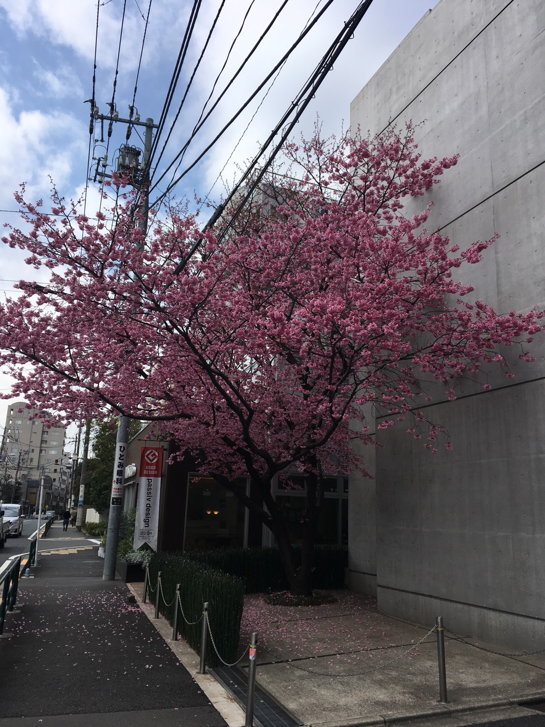 本日最終日！雑貨 Spring SALE