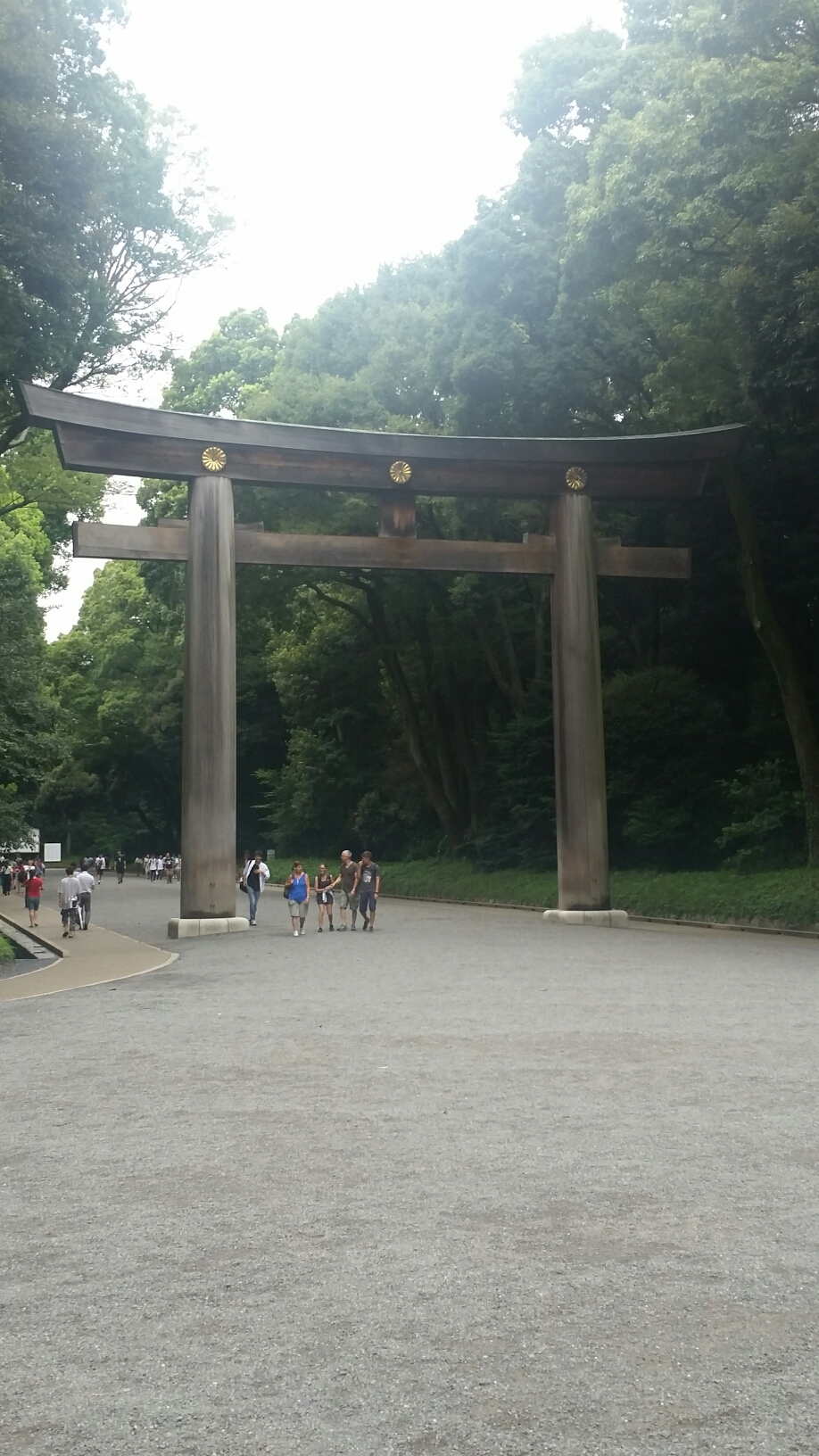 明治神宮×七五三