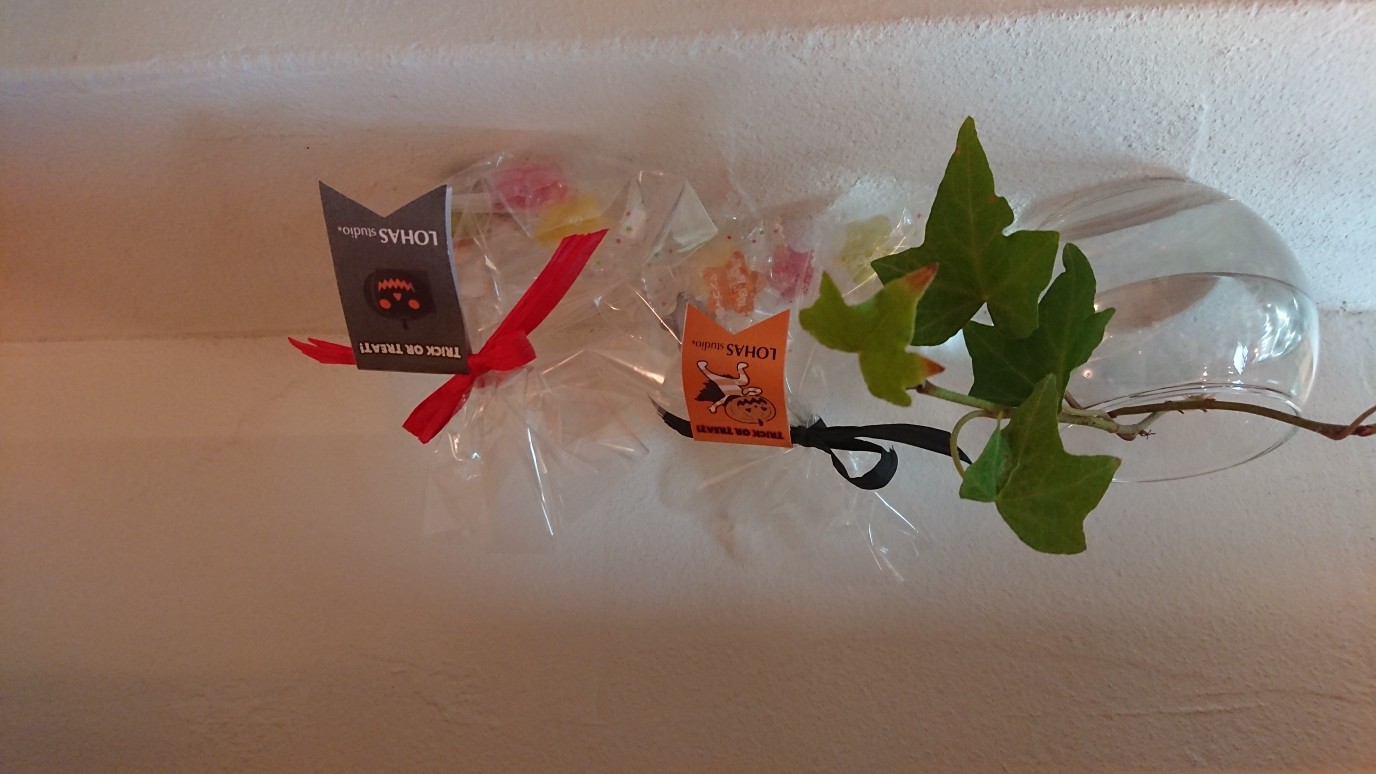 LOHAS studio HALLOWEEN FESTIVAL 2019