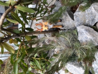 ガーデンリニューアル