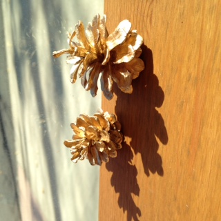 朔旦冬至（さくたんとうじ）～新たな気持ちでスタート～