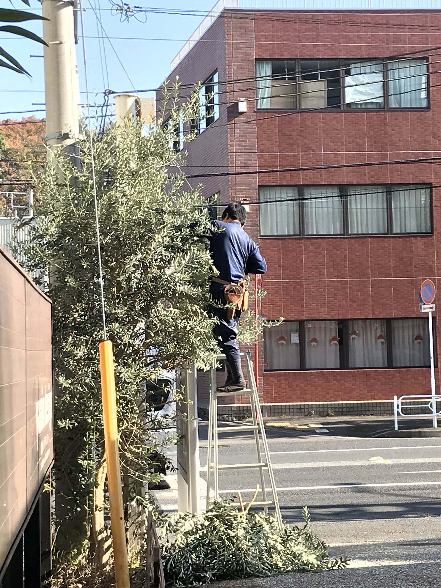 横浜店の外構部分が生まれ変わります。