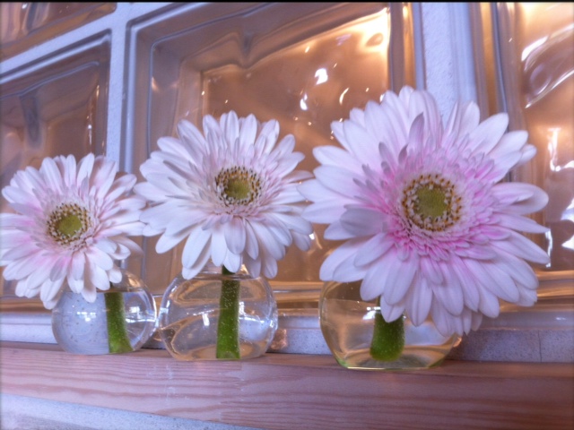 雨の日だからこそ～スタジオコーディネート～