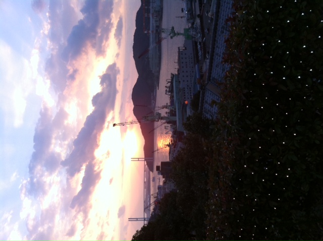 2015年、本年も宜しくお願い致します。