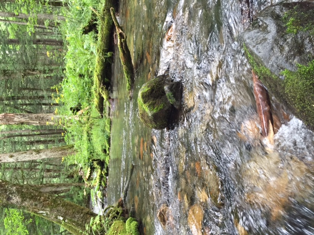 夏を乗り越える秘訣♪　リフレッシュの見つけ方