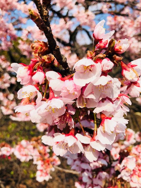 ３月のスタート♪
