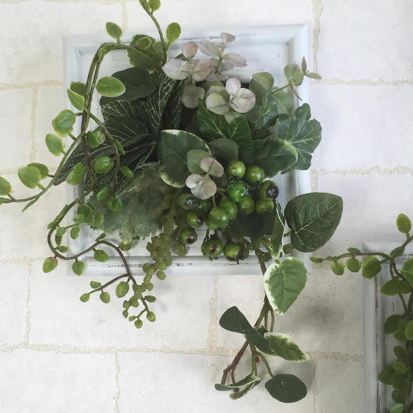 ワークショップのお知らせ~「選んで作る！インテリアグリーン」♪～