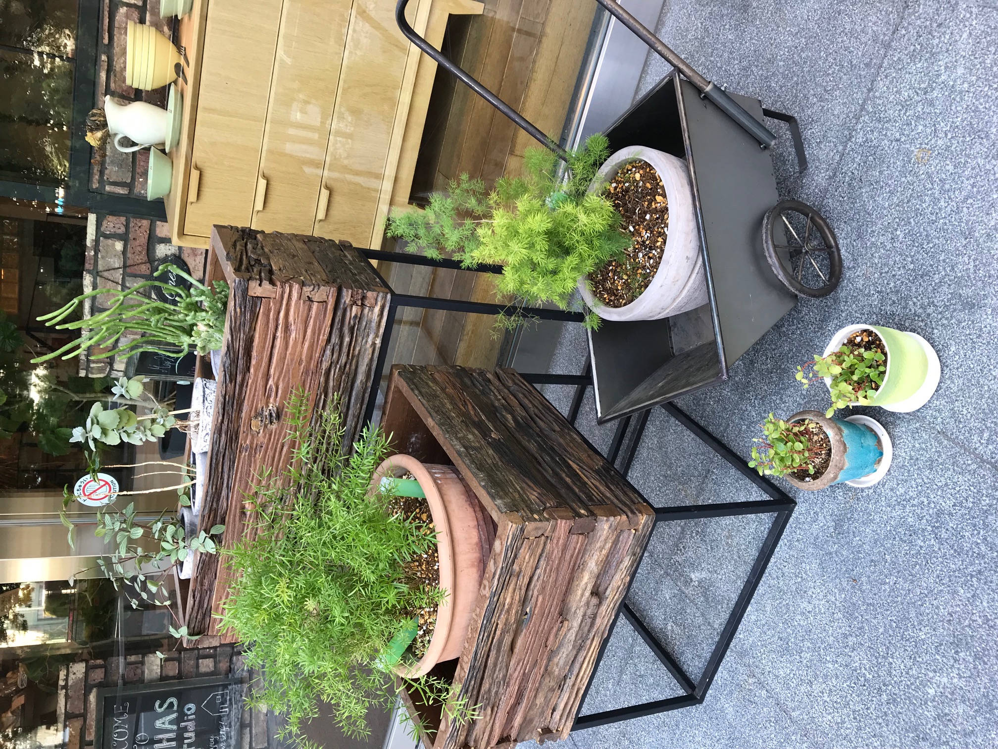 今朝はスタッフ皆で…＊