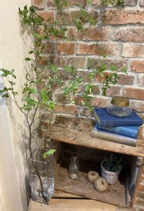 IMG_0453 (1)