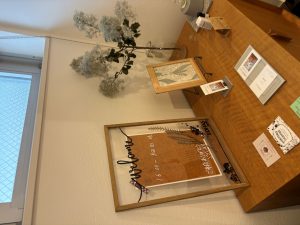 IMG_0454 (1)