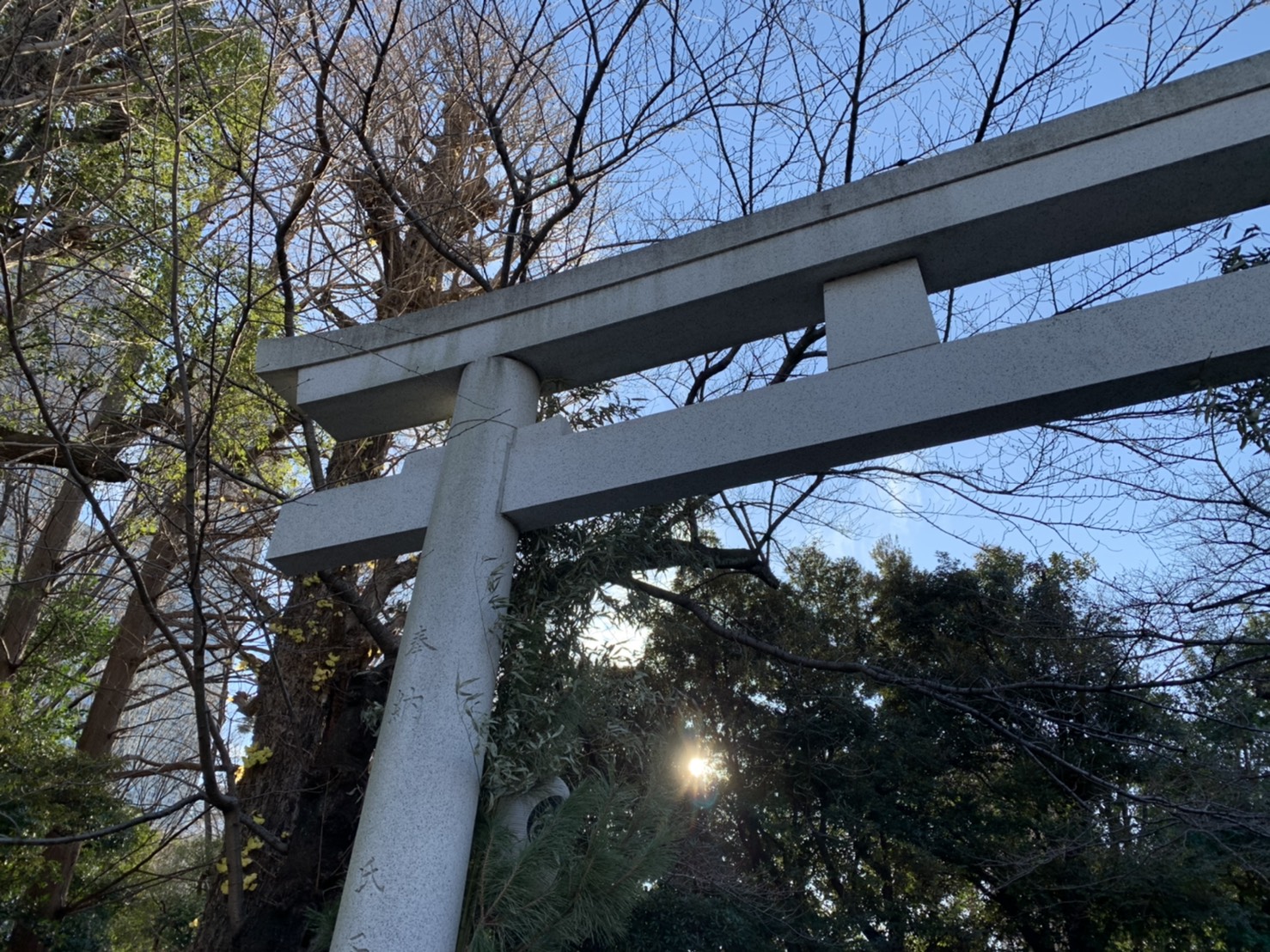 2020年　明けましておめでとうございます