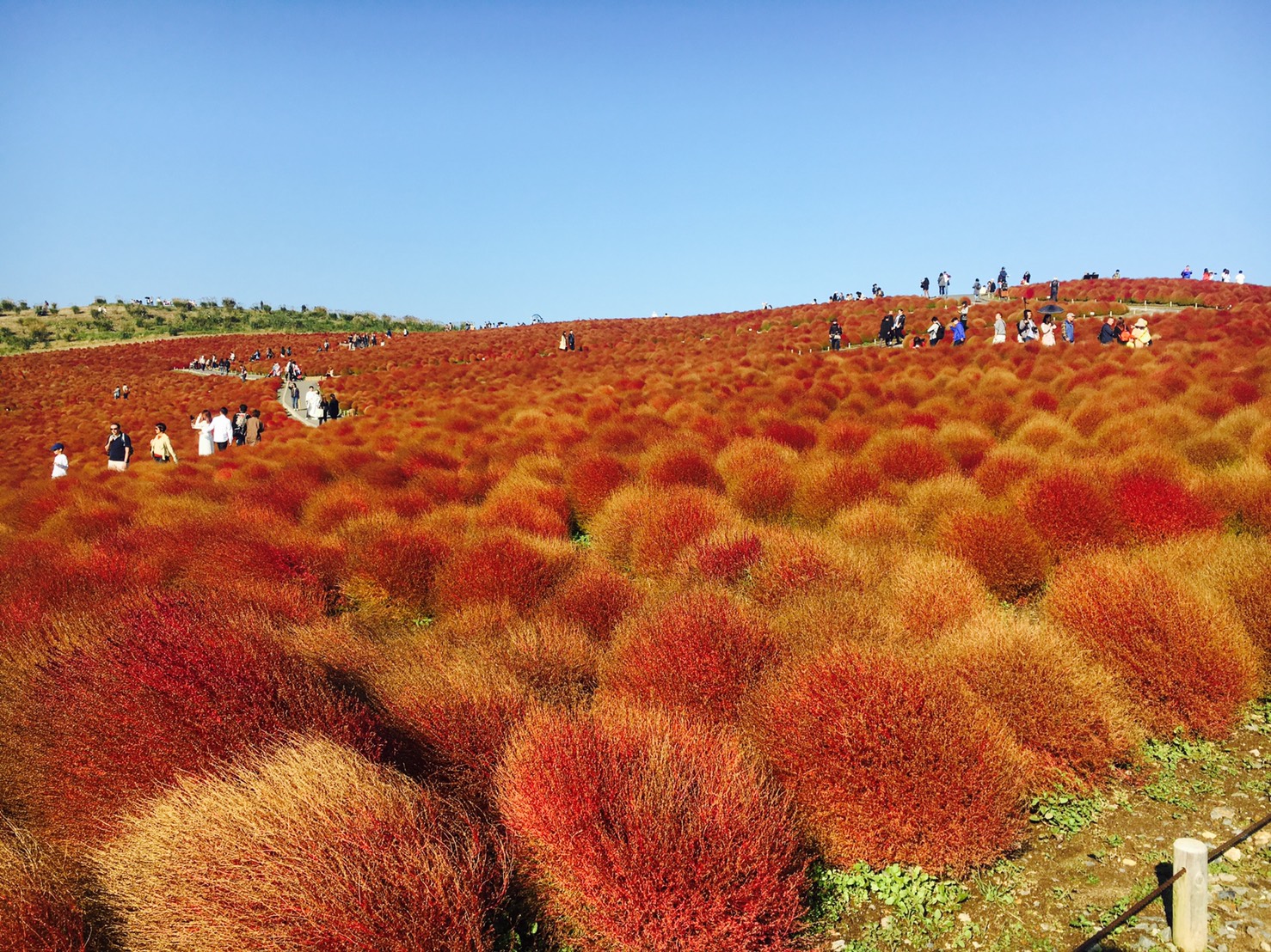月初めのご挨拶　-September-
