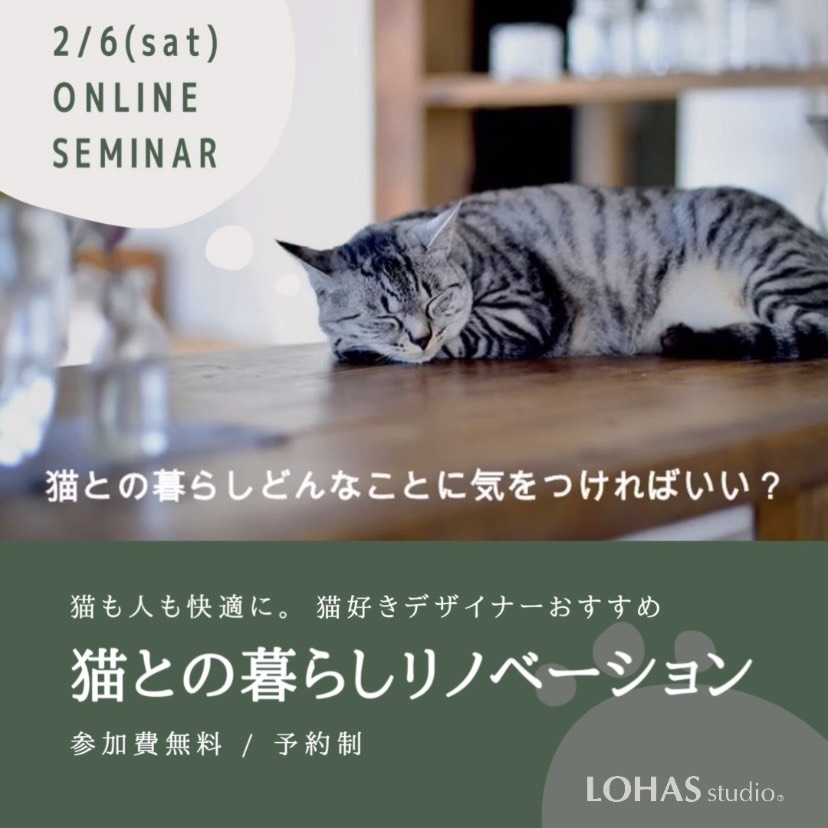 〈オンラインルームツアー〉猫リノベ