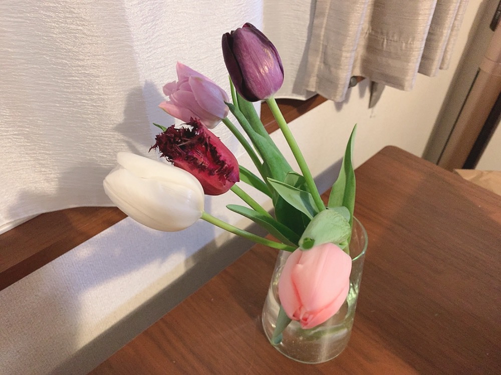 月初めのご挨拶　- March -