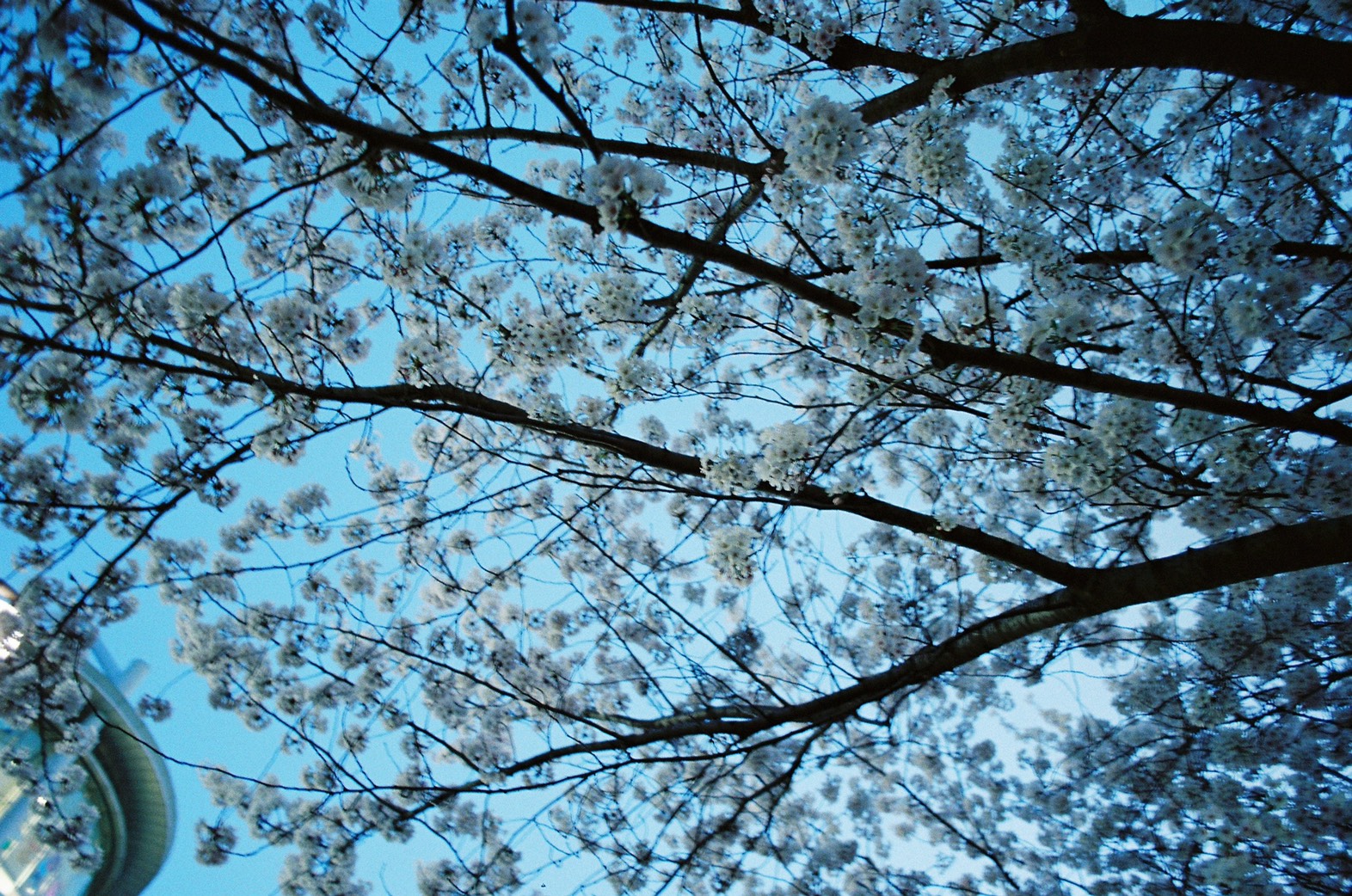 月初めのご挨拶　-April-