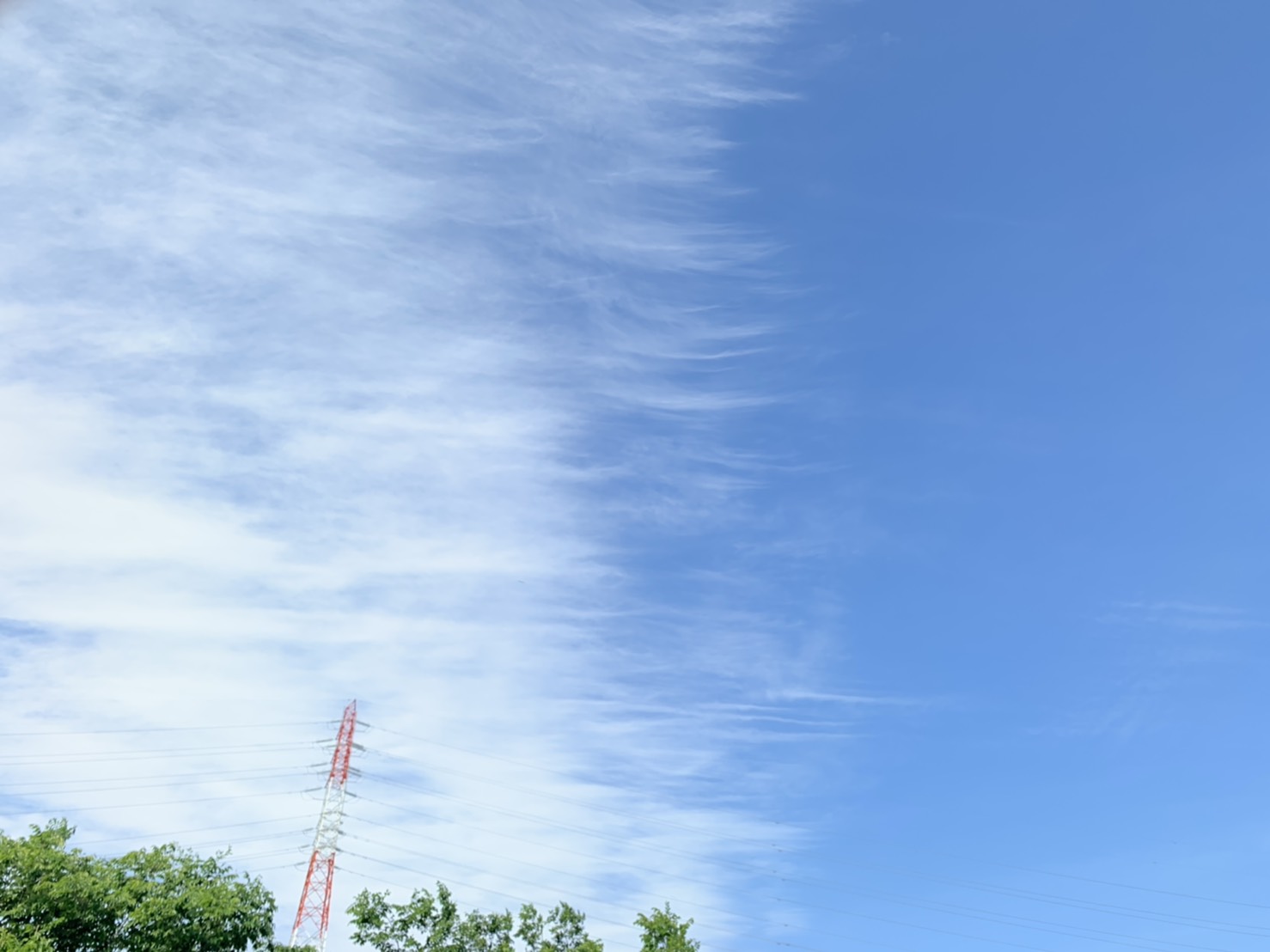 LOHAS studio 　本日より通常営業