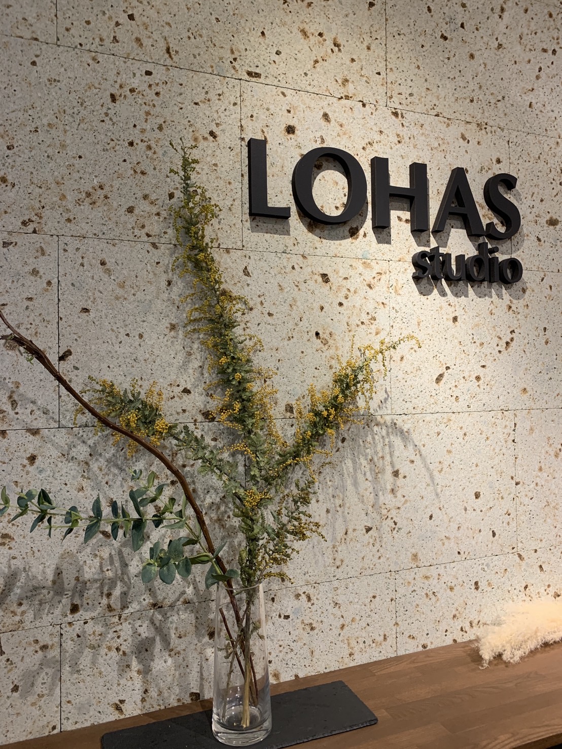 今月のお花　- ミモザ -