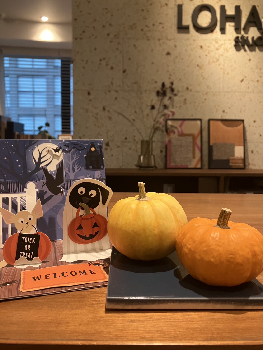 10月のディスプレイ紹介♪