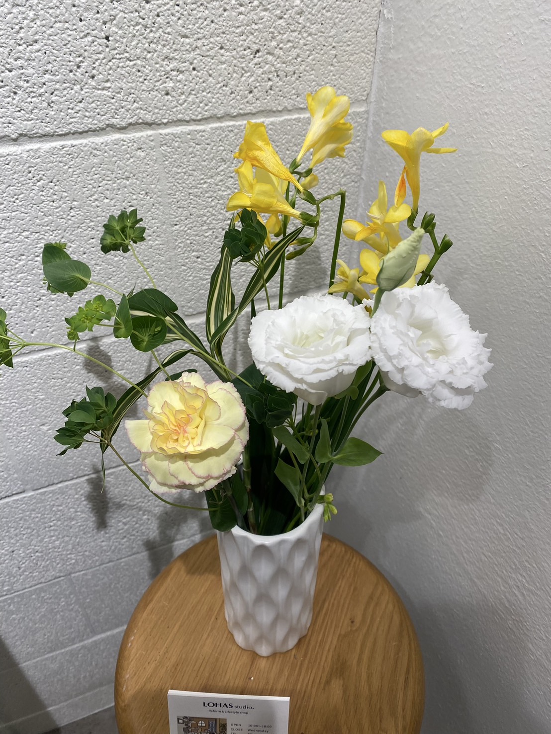 LOHASstudio松戸店のお花をご紹介