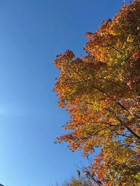 LINE_ALBUM_ブログ用_251208_3