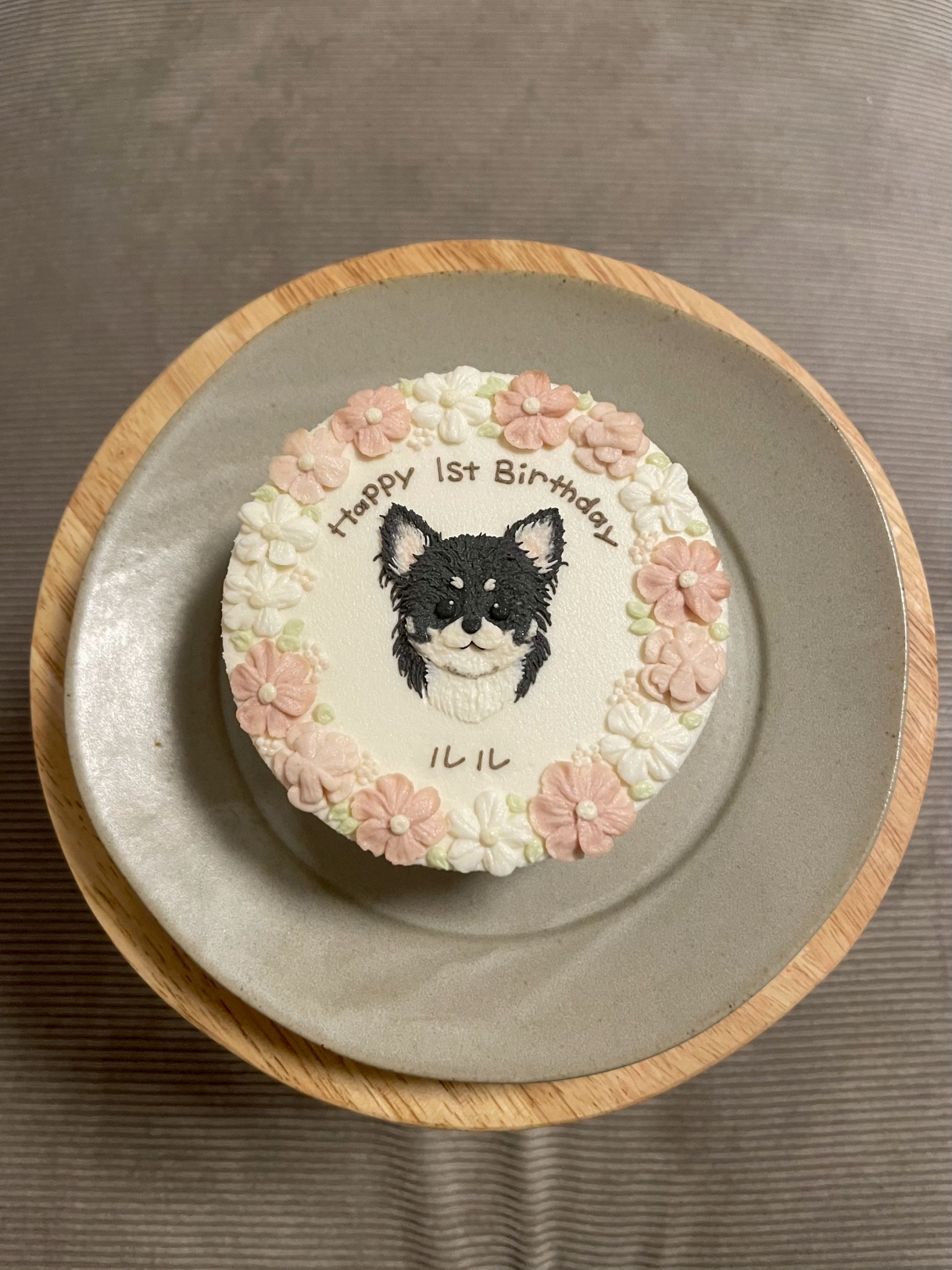 Dog or Cat？？　－犬猫大好き会－