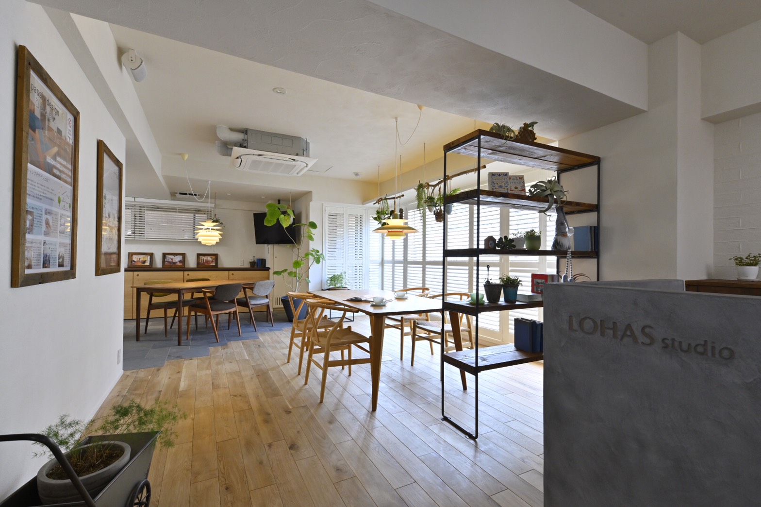 12/5（sat）LOHAS studio kichijoji 　グランドオープン