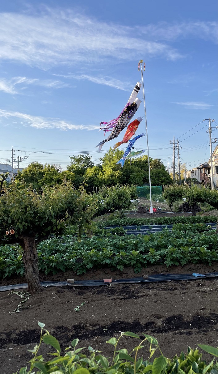 ５月営業開始のご案内