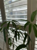 21513AAC-0D60-4EC5-8721-16F39BCDFB7B