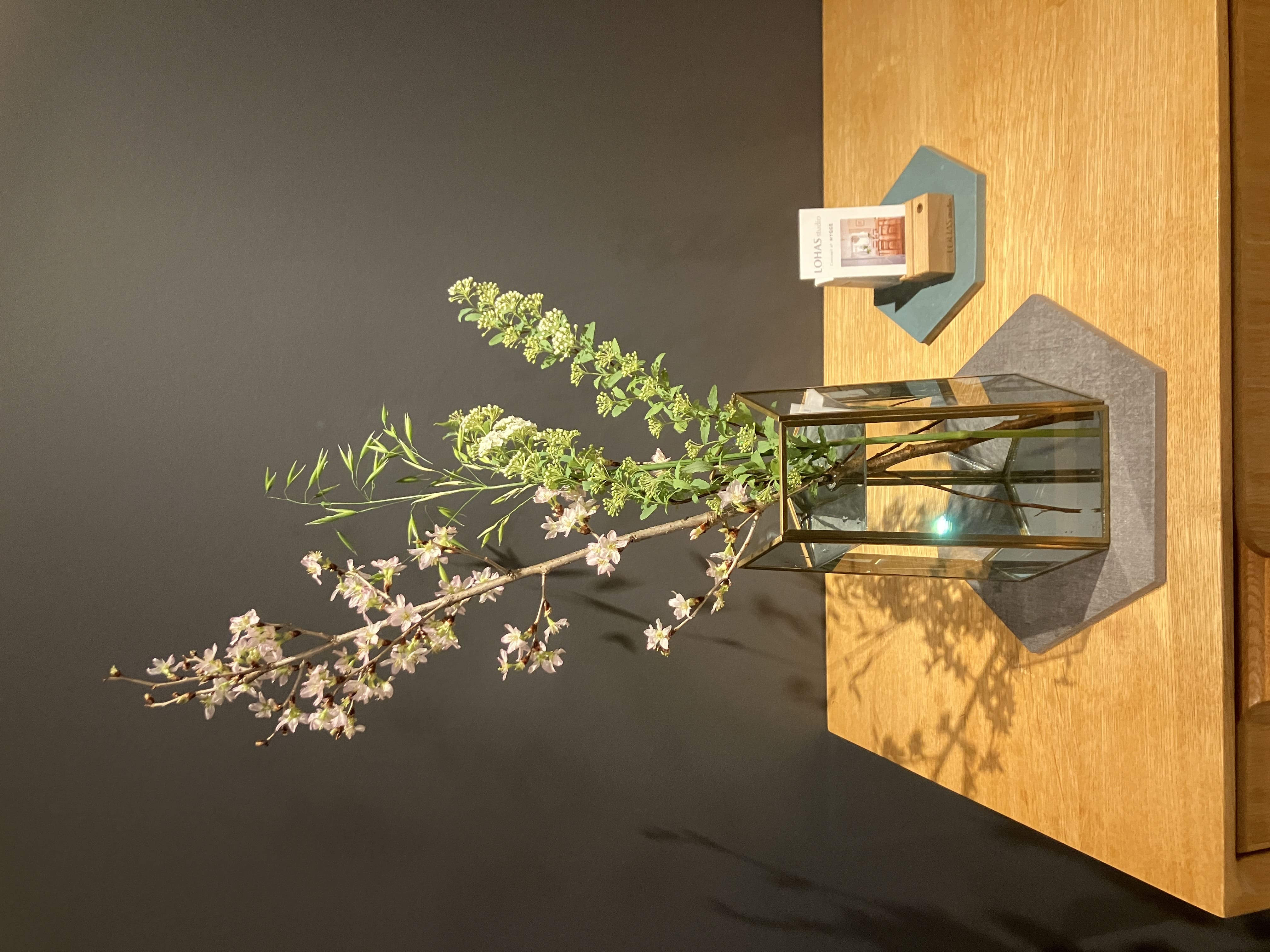 桜を飾りました！🌸