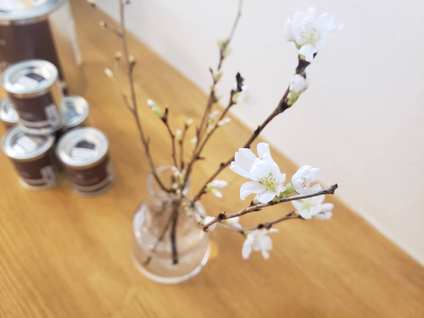 3月のオンラインイベント✿「グリーン住宅ポイント」と「リノベーション後の住みごこち」