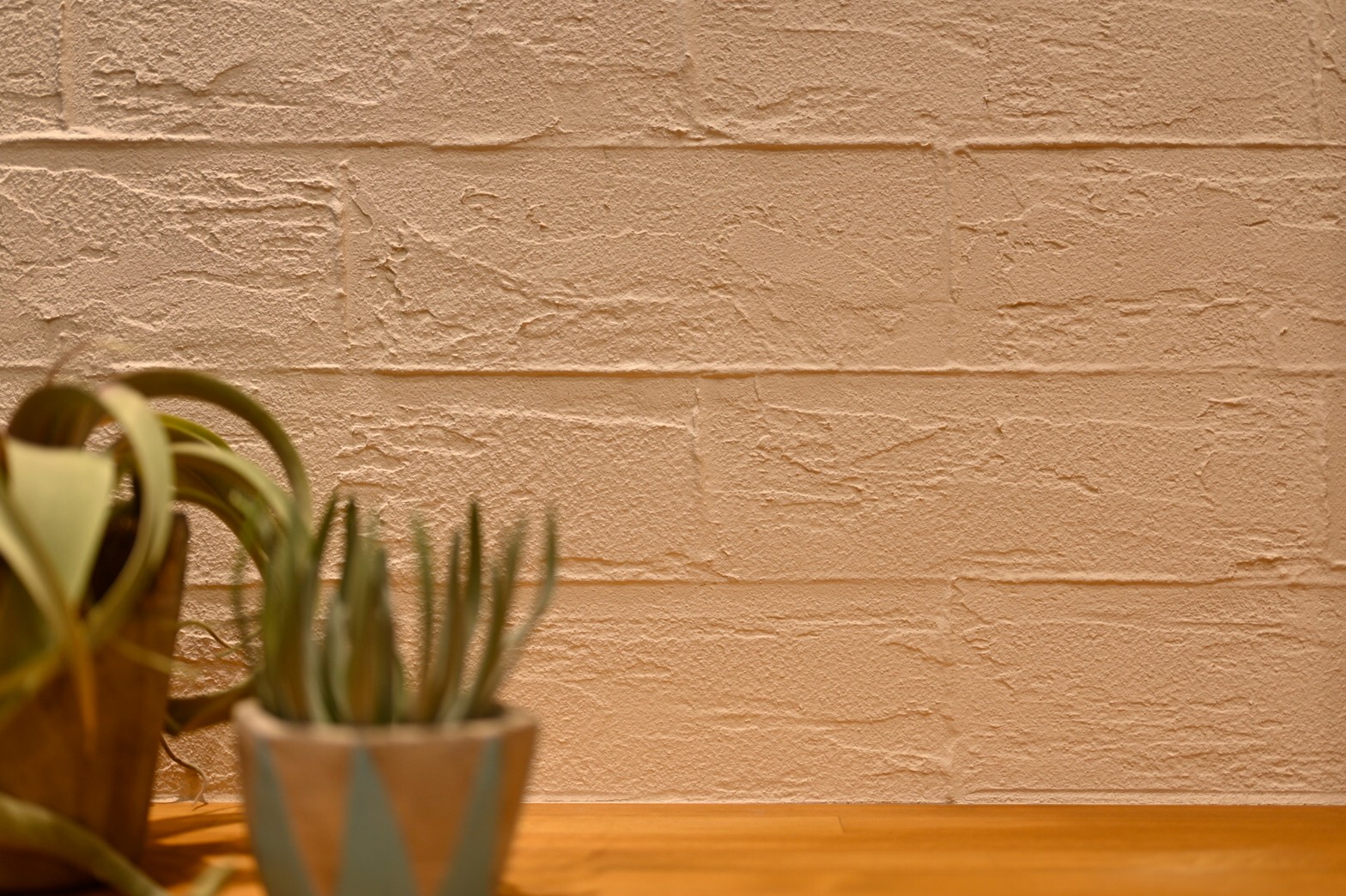 LOHAS studio調布PARCO　見どころ紹介♩～珪藻土の魅力～