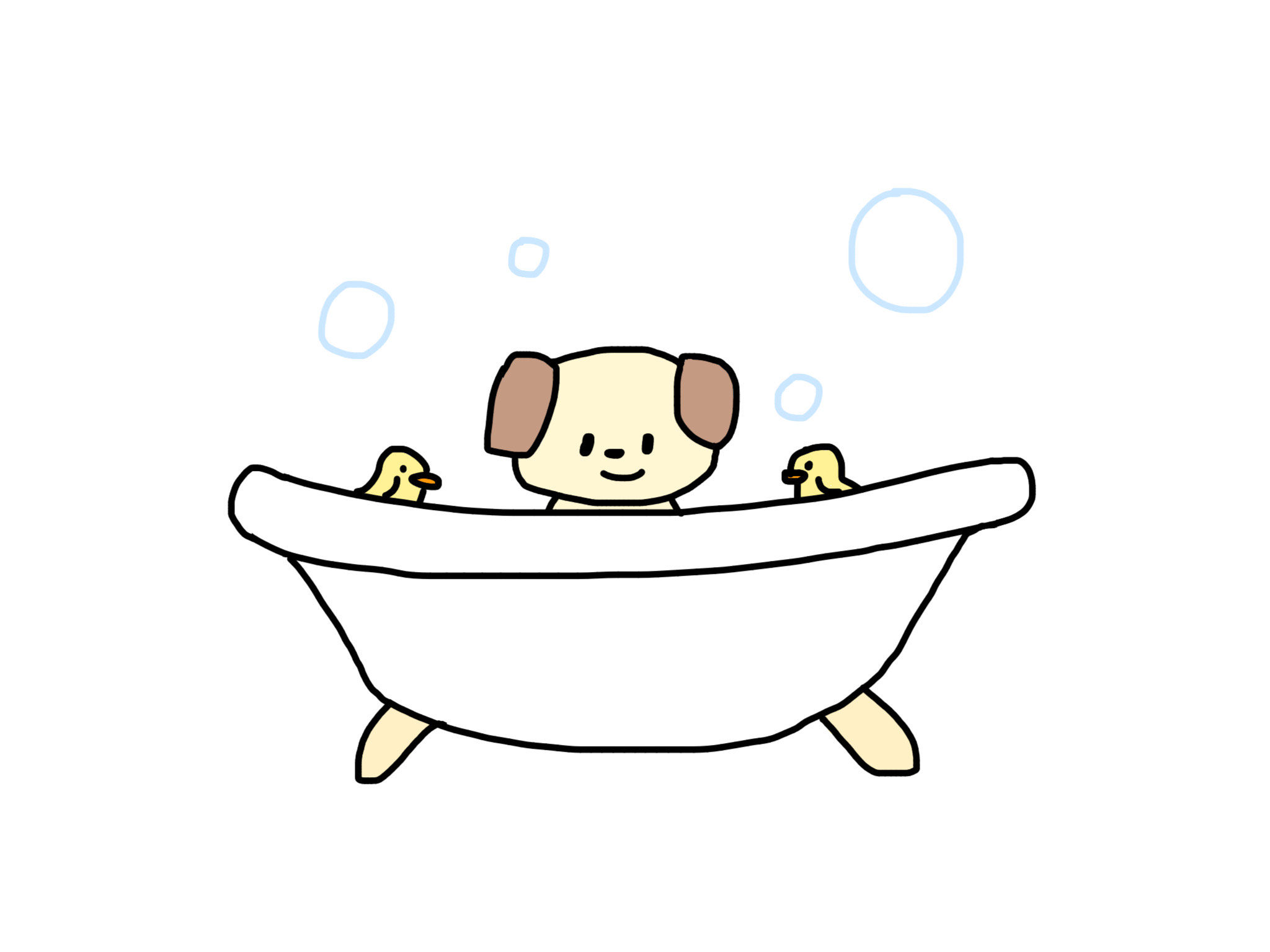 お風呂　犬