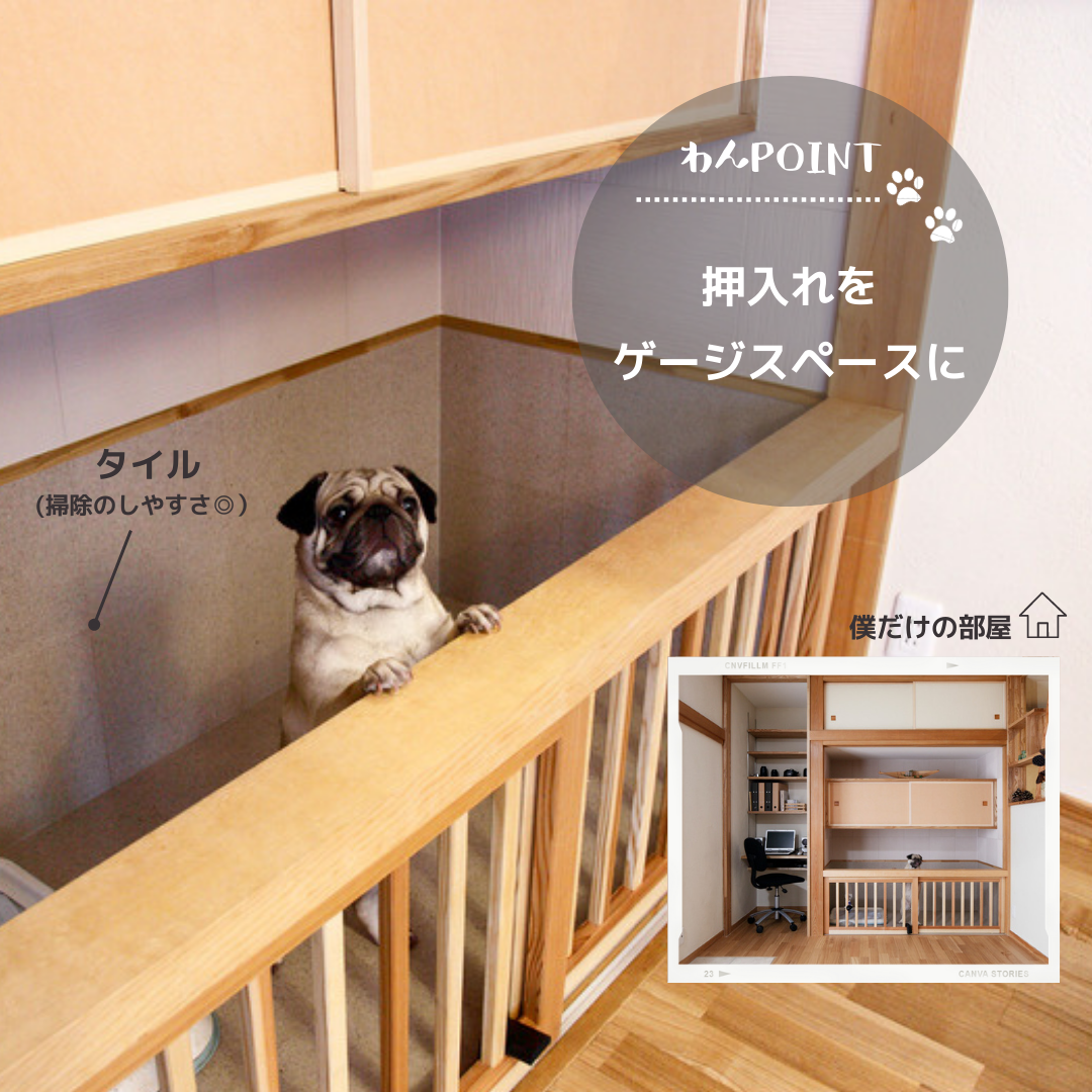 11月1日は犬の日🐶