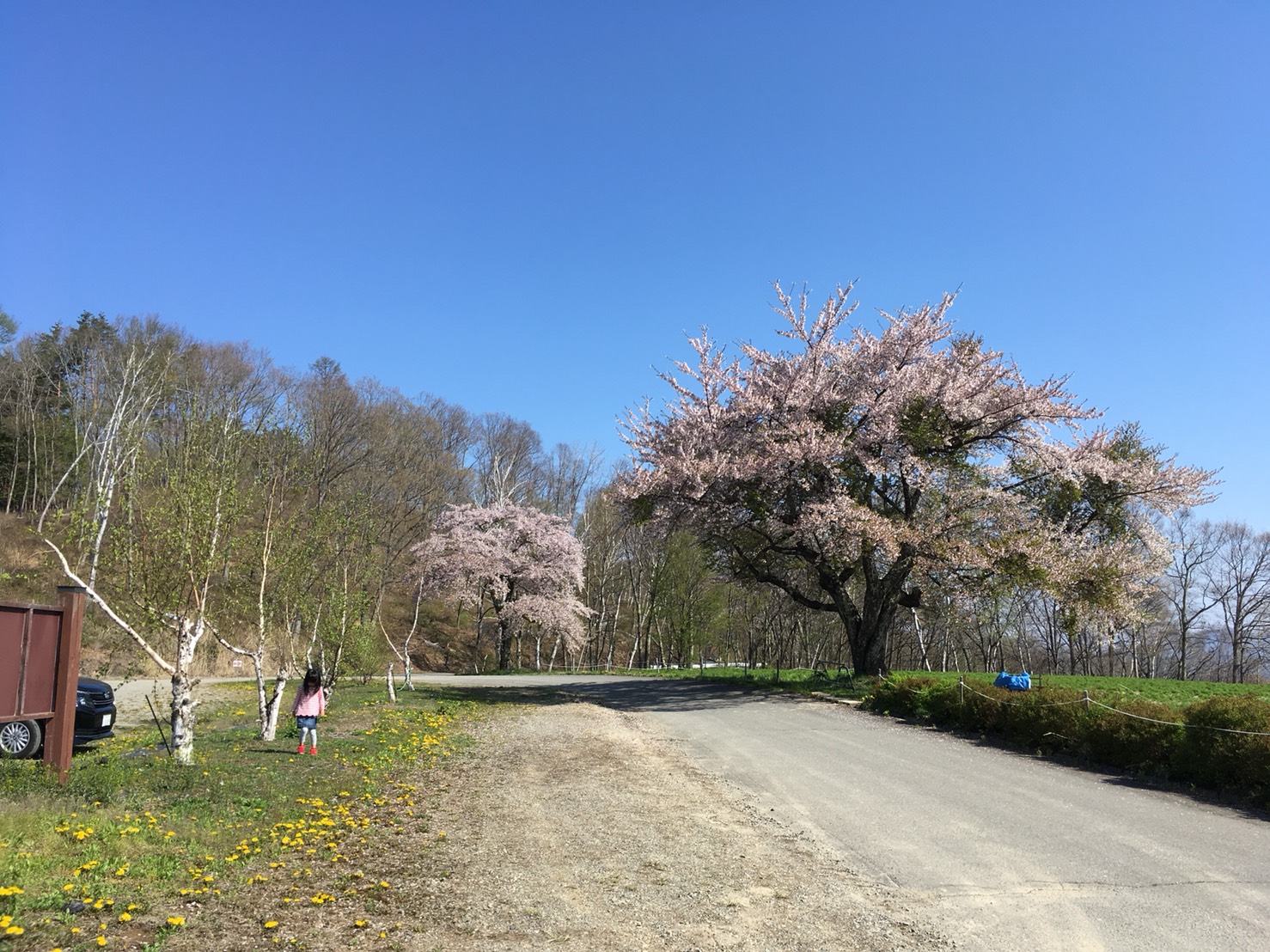 ゴールデンウイーク②！！