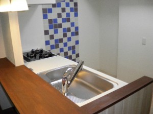 SANYO DIGITAL CAMERA