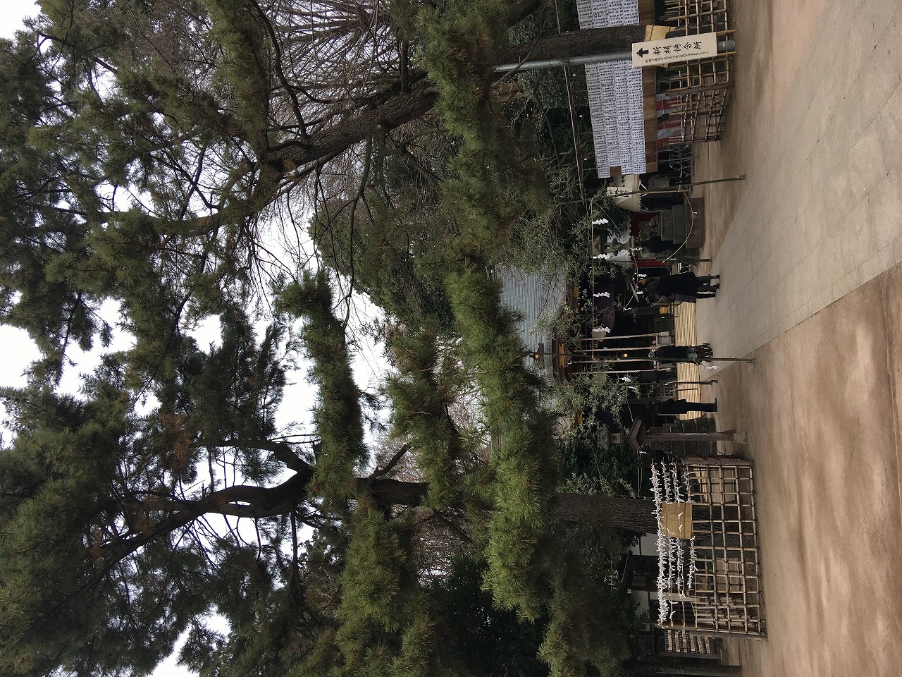 2018明けましておめでとうございます。