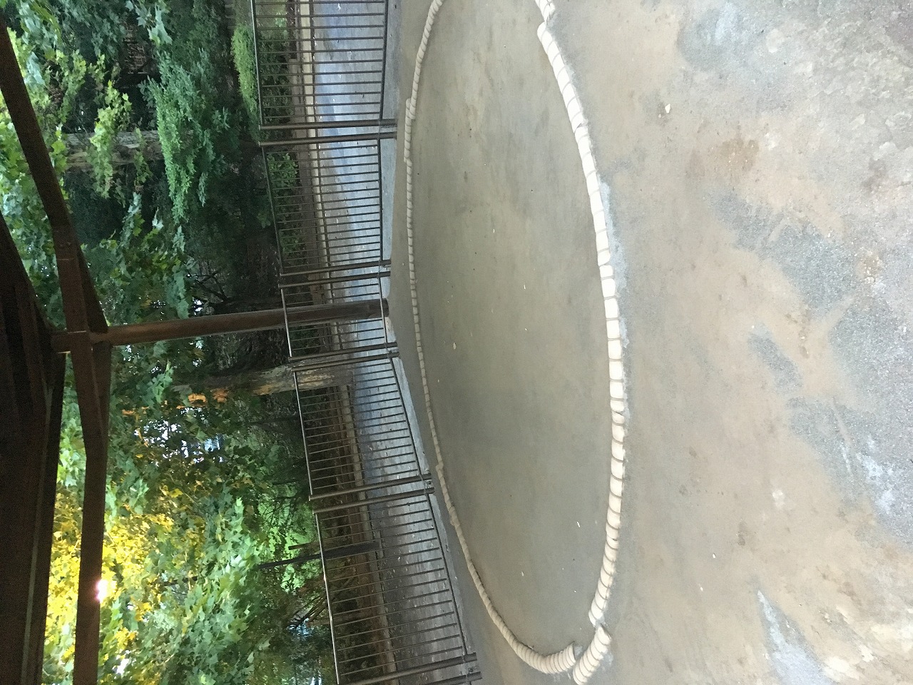 びっくりの渋谷駅開発