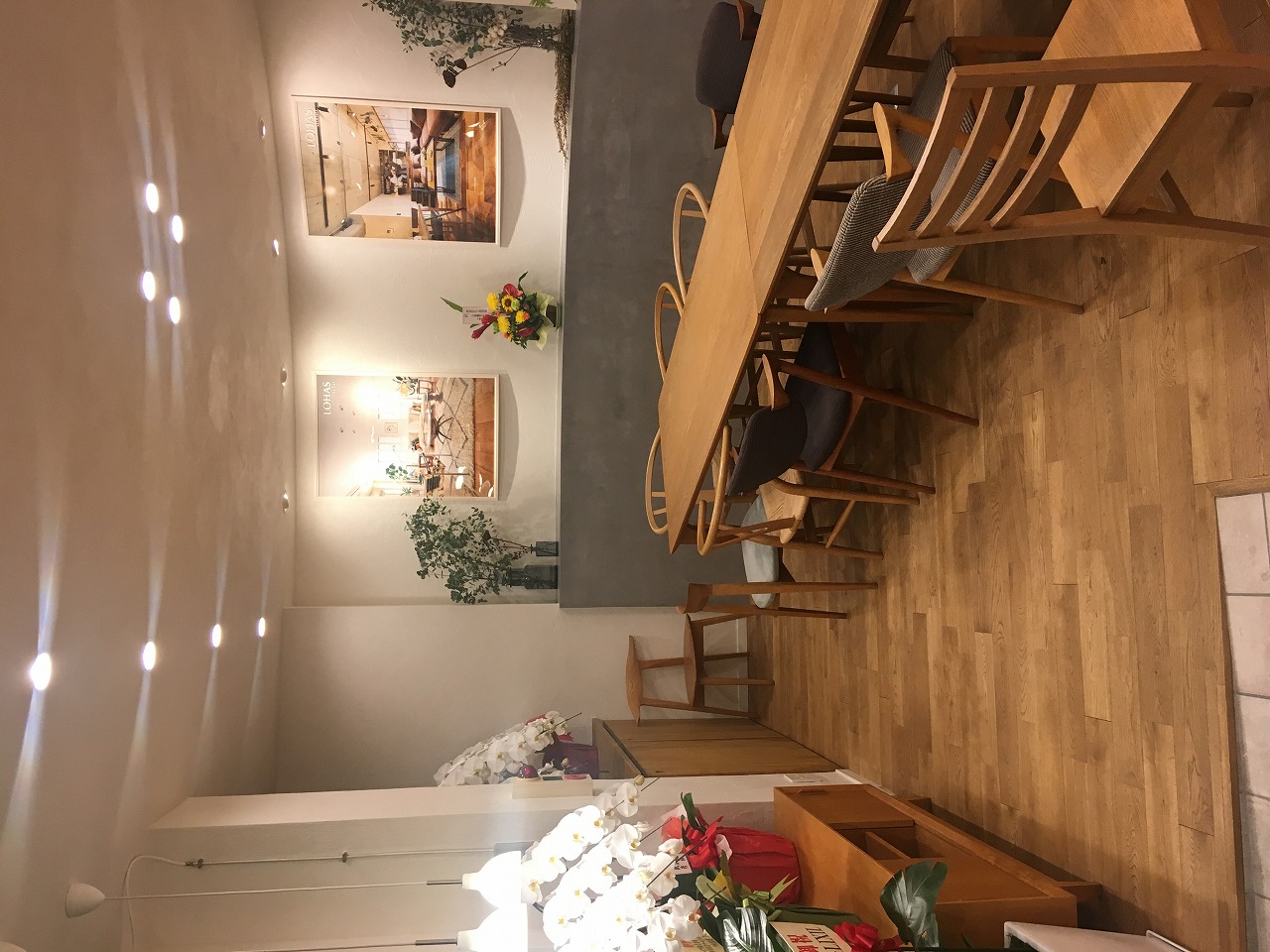 LOHAS　Studio津田沼店リニューアルオープン！！