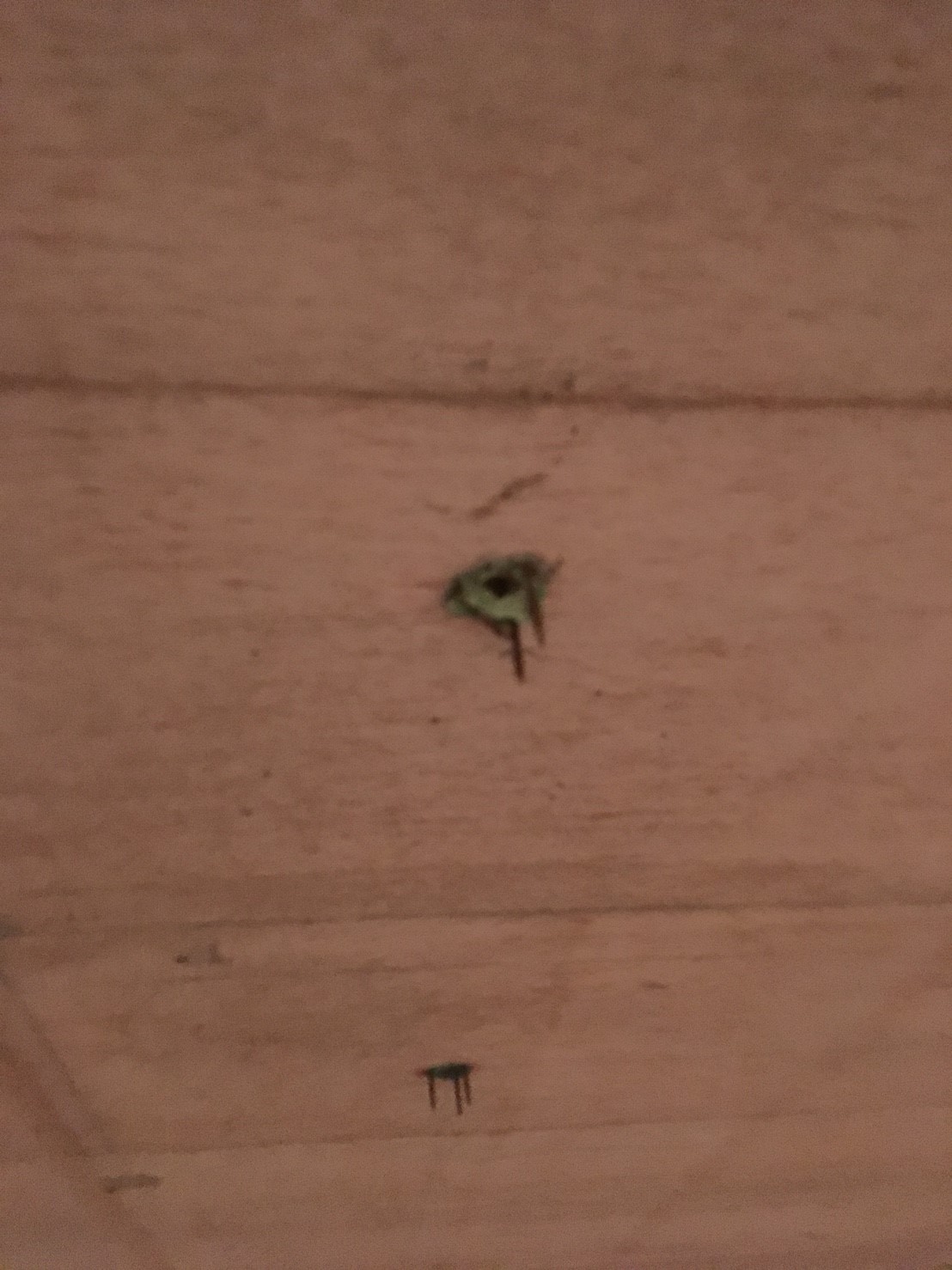 フルリノベーション始まってます