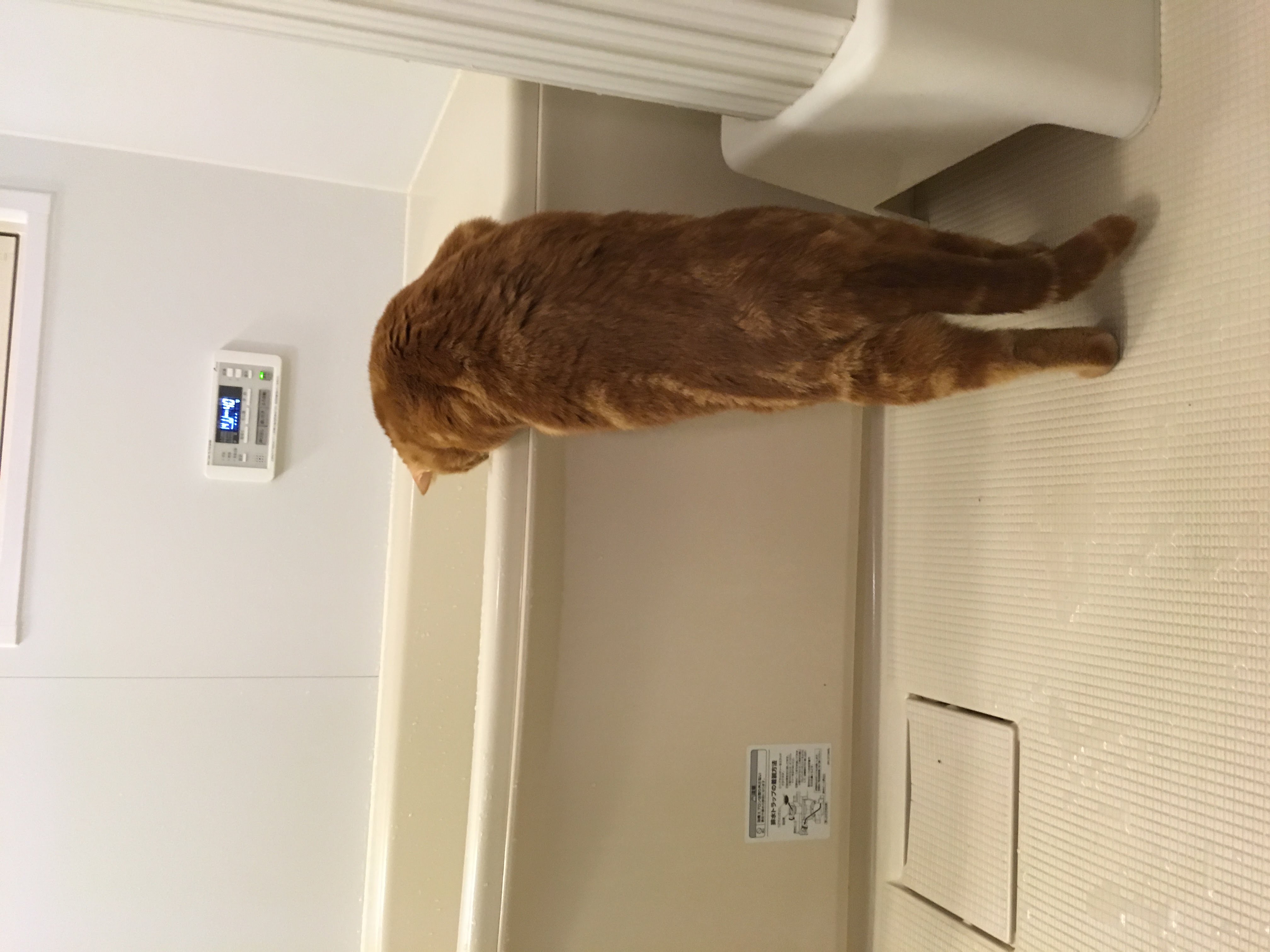 我が家のお風呂。