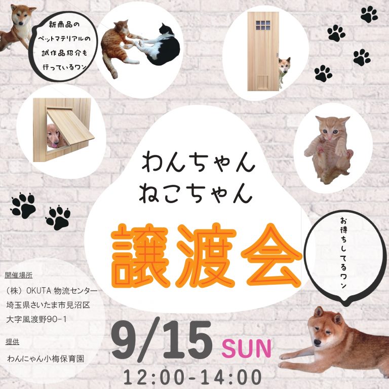 9/15（日） 犬猫譲渡会のお知らせ　さいたま市見沼区