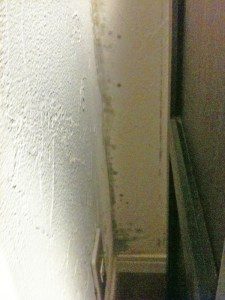 他社珪藻土カビ②