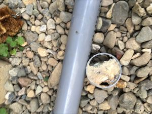 排水管洗浄は定期的に‼