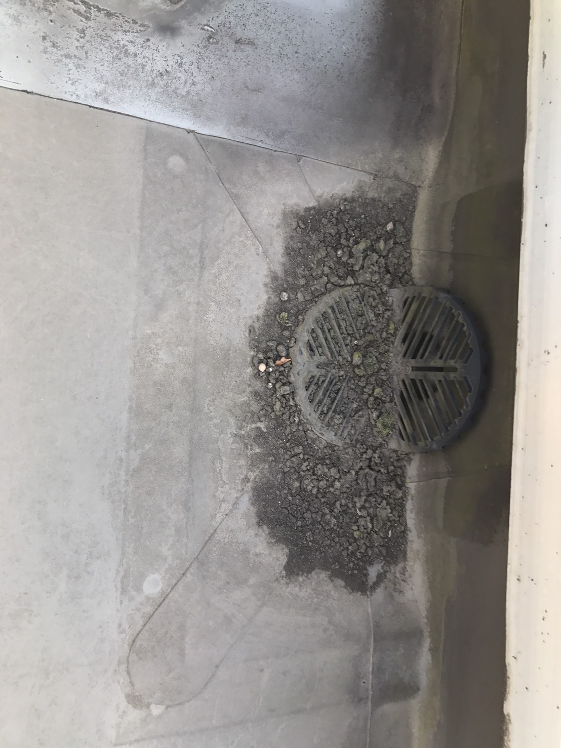 大きなキッチンカウンターのあるLDK⑦お料理のにおいも解消！