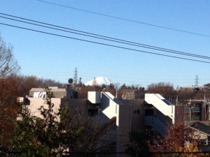 完成現場見学会