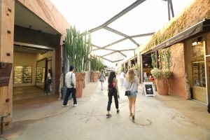 20181110カリスタツアーDAY3_181120_0060