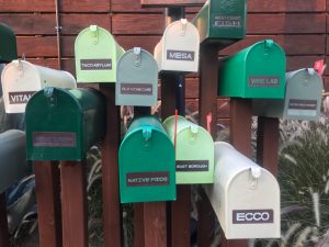 20181110カリスタツアーDAY3_181120_0085